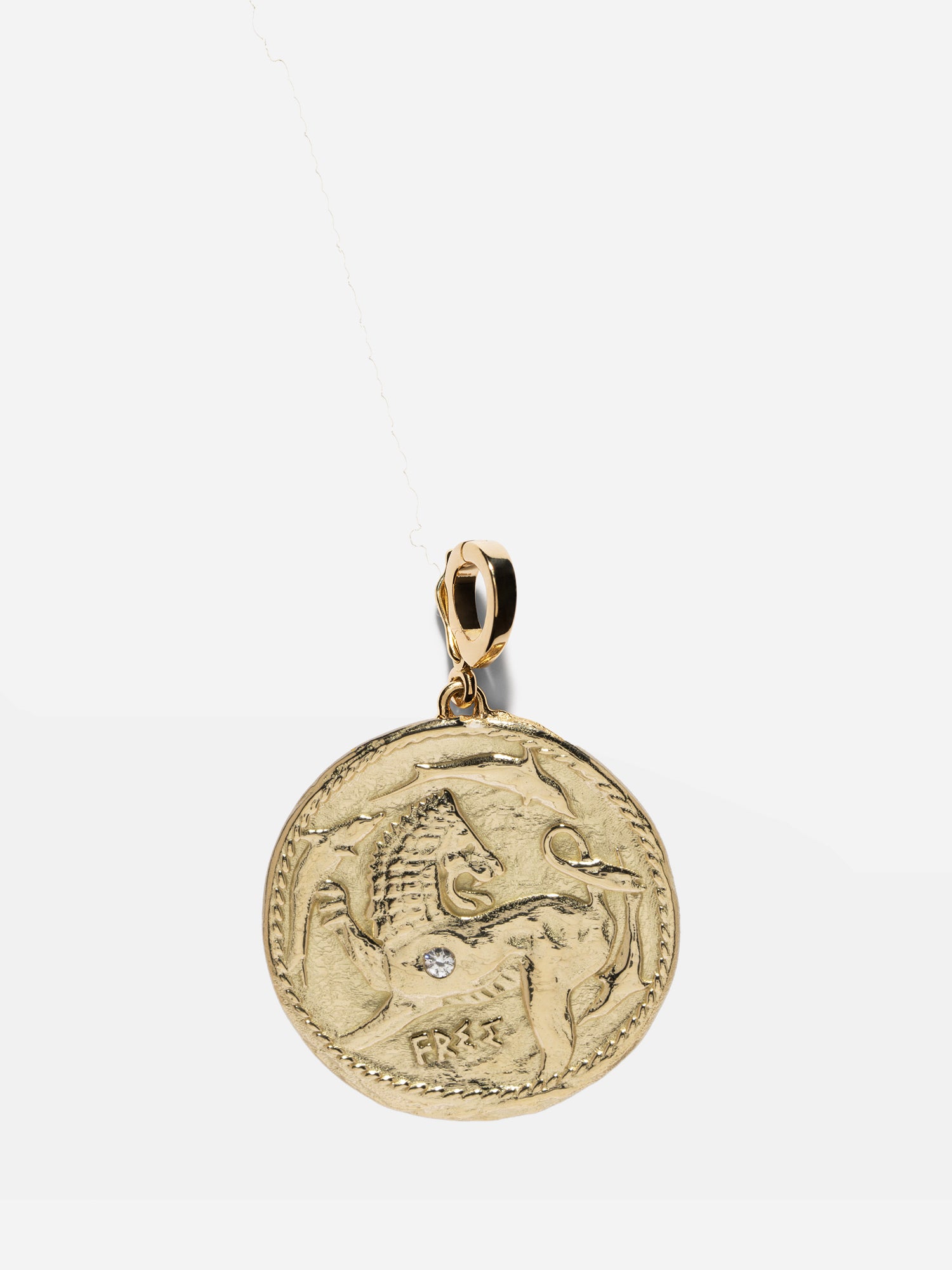 Lion and Dolphin Large Coin Charm
