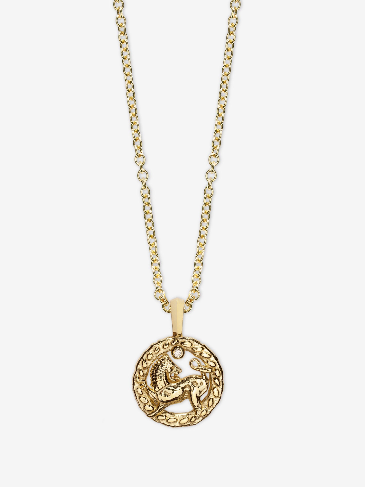 Petite Lion Coin Necklace