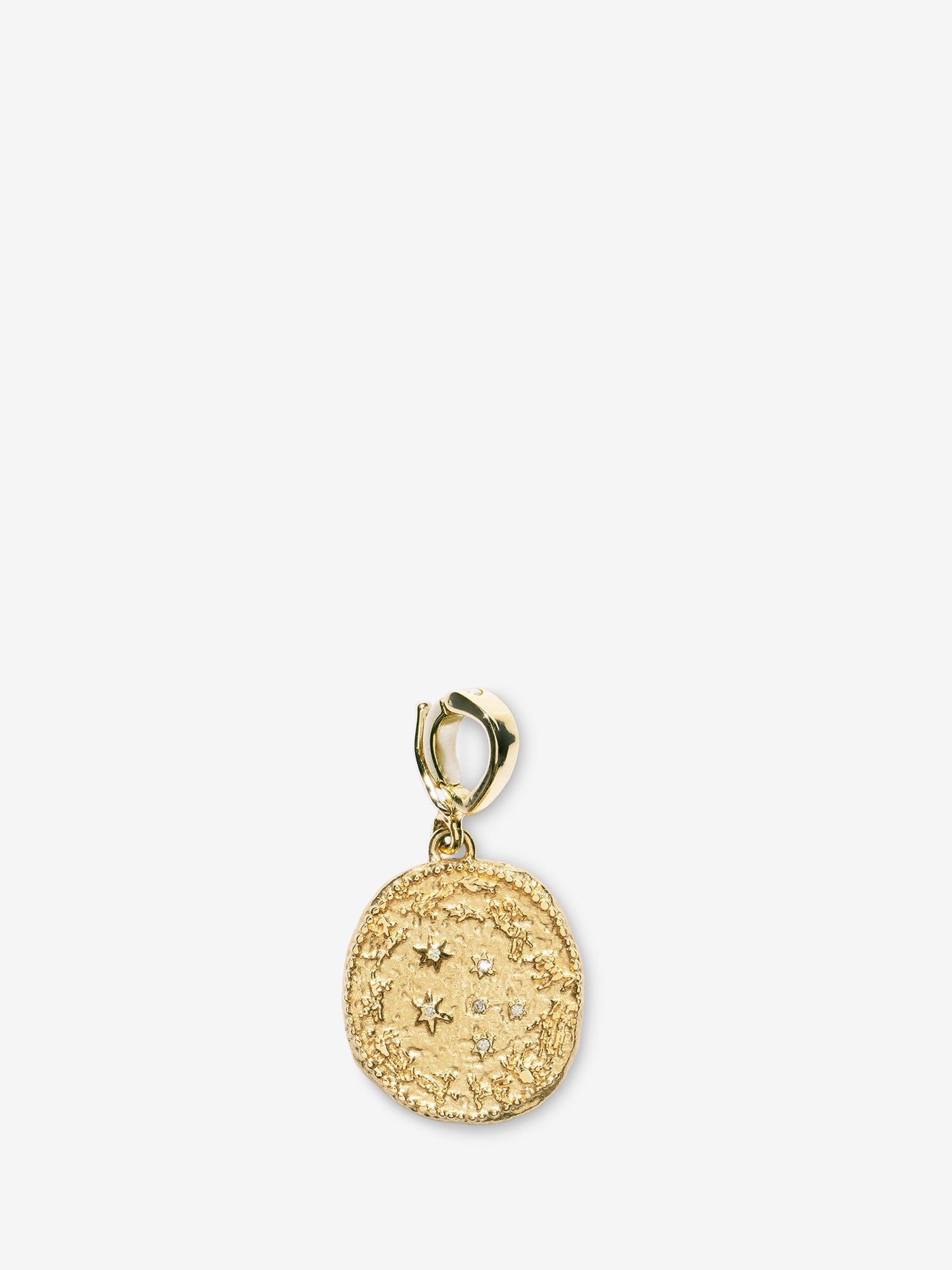 Zodiac Wheel Small Diamond Coin Charm
